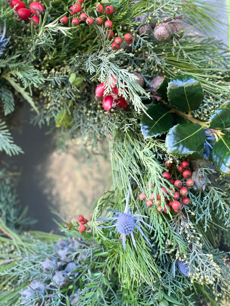 Red berries and thistles 